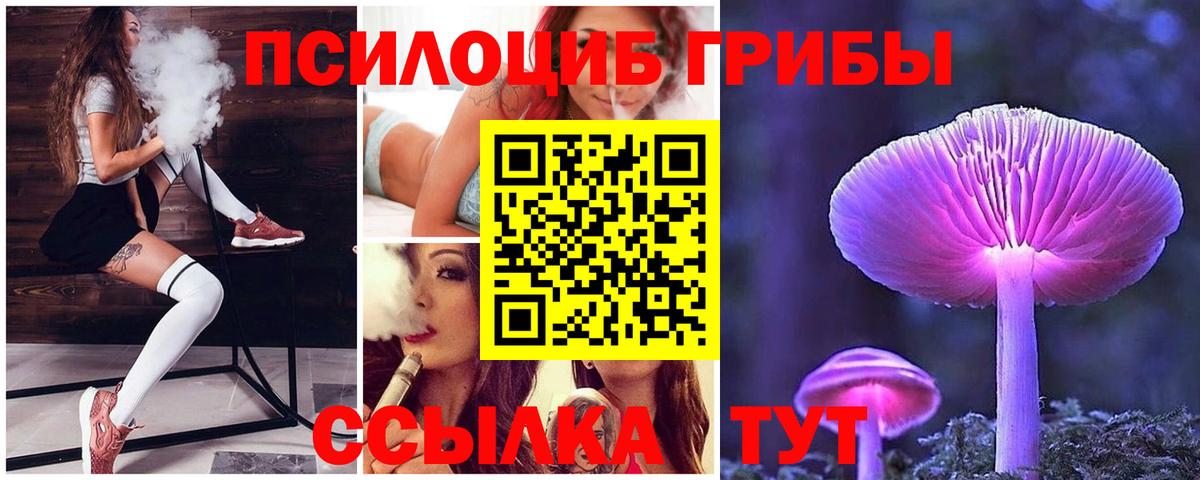 Галлюциногенные грибы прущие грибы Москва