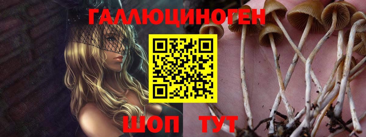 Псилоцибиновые грибы Magic Shrooms  Вход с VPN  Москва 